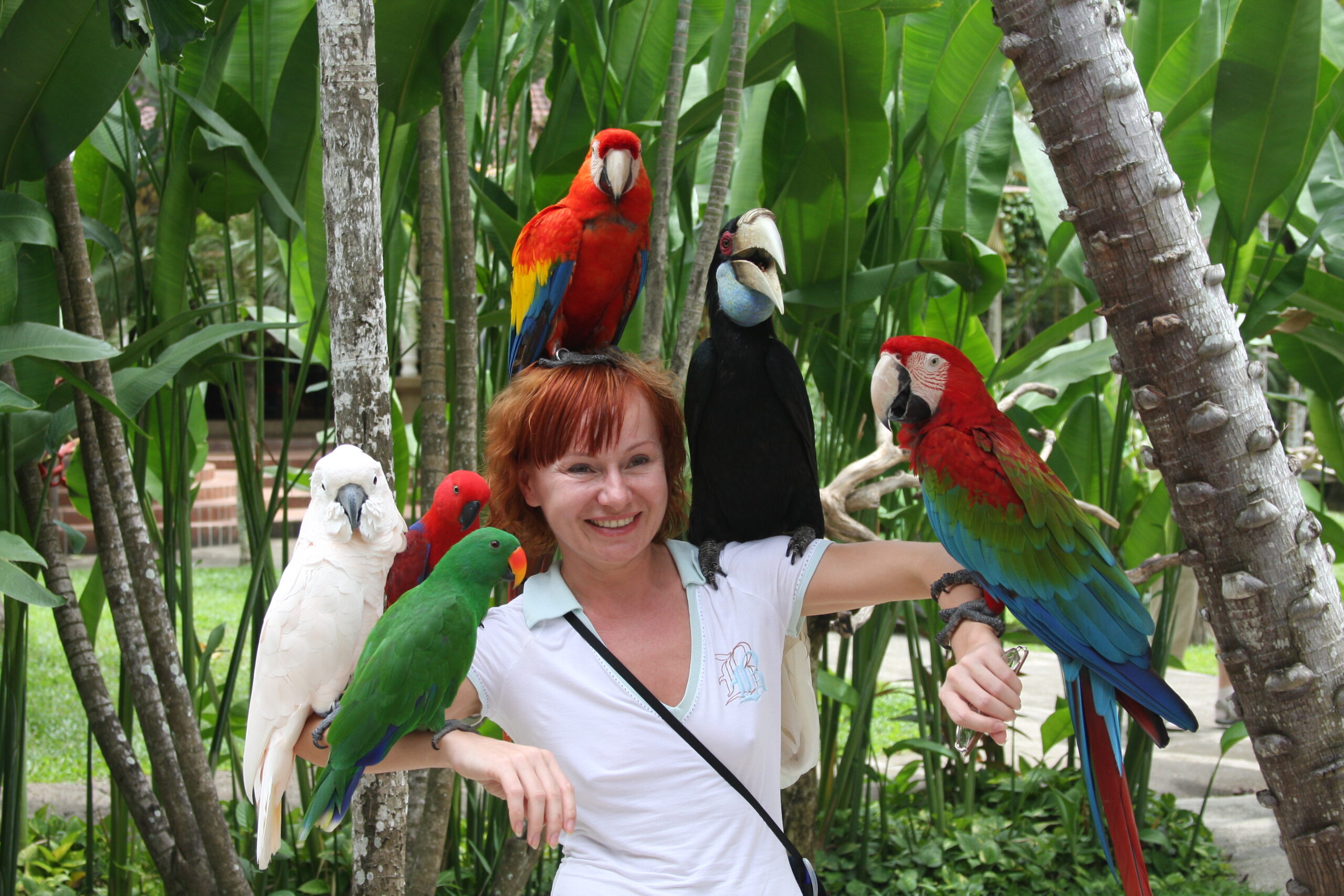 Bali_bird_park